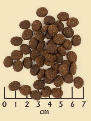 Actual product image Wildcat Adult Rani (Adult, 1 pcs., 3000 g)