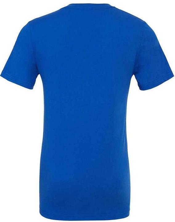 Image du produit Bella Canvas Tee-shirt adulte col V en jersey (XXL)