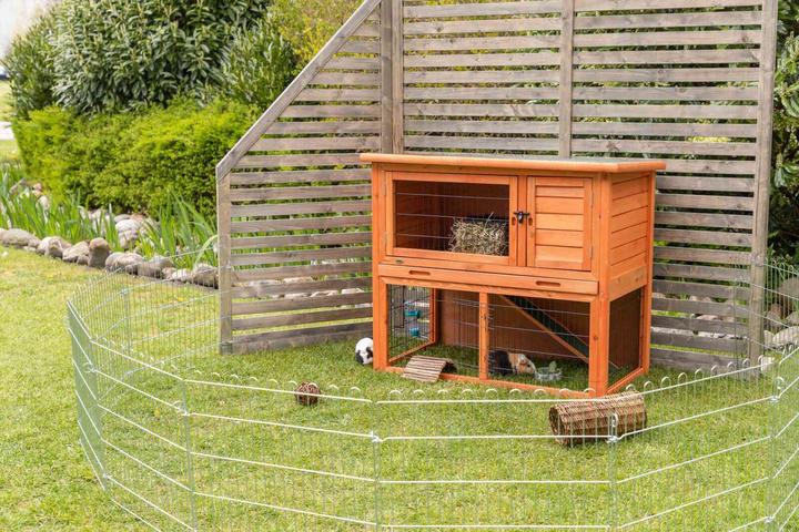 Image du produit Trixie Clapier pour petits animaux Natura