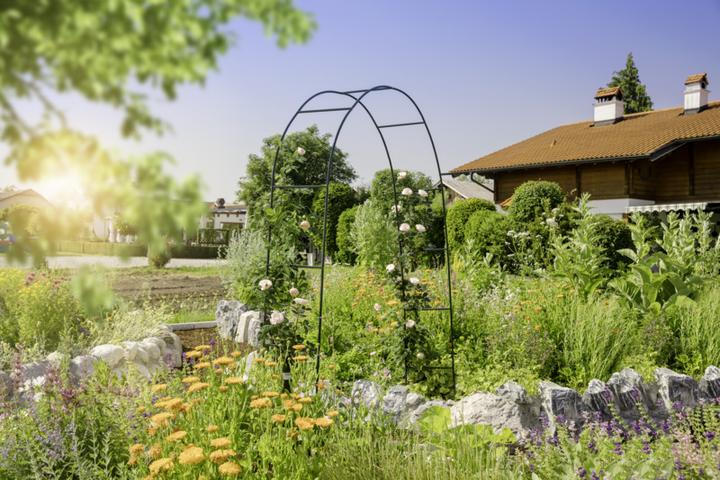 Image du produit Windhager arche de roses (37 cm, 140 cm)