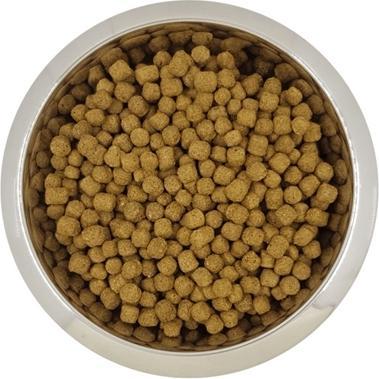 Image du produit Yourdog Dwerg- Of Toypoedel Volwassen (Dwerg de l'équipe de tournage) (Chiot + chaton, 12150 g)