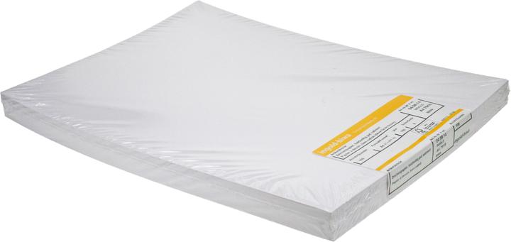 Ingold-Biwa Drawing paper (A3)