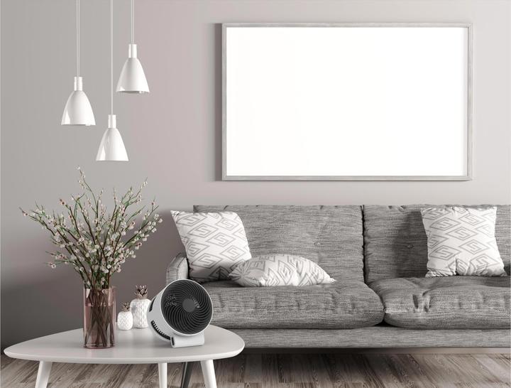 Image du produit Boneco F100 (55 dB)