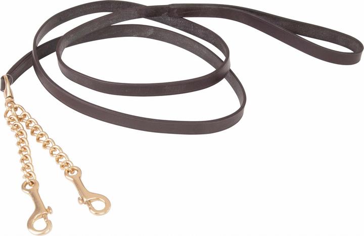 Produktbild TdeT Schauleine mit doppelter Kette