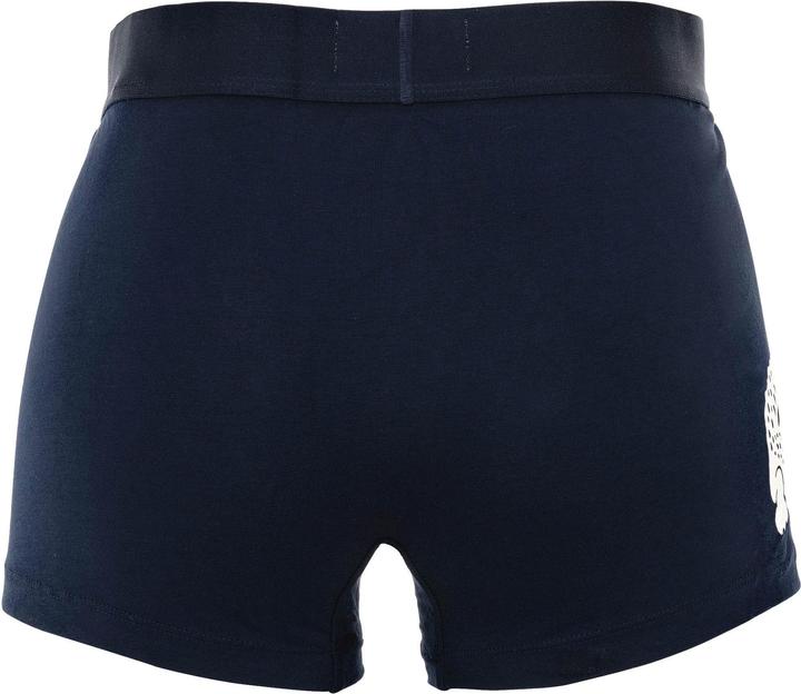 Actual product image Lacoste Pack De 3 Boxers Courts (M, pack of 3)