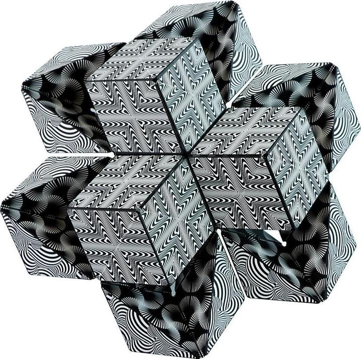 Actual product image Shashibo GeoBender Cube black & white (Multilingual)