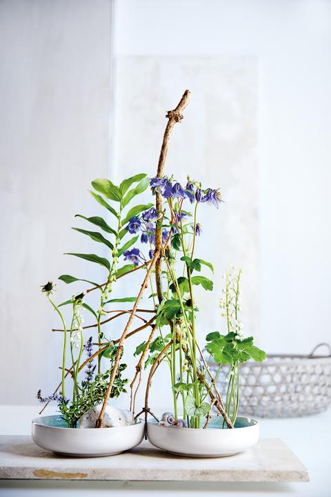 Image du produit New Ikebana (Allemand, Klaus Wagener, Bernhild Wagener, BLOOM's GmbH, 2022)
