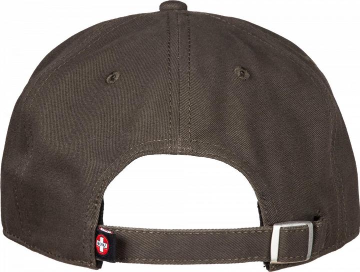 Actual product image Bones Bearings Dad Cap