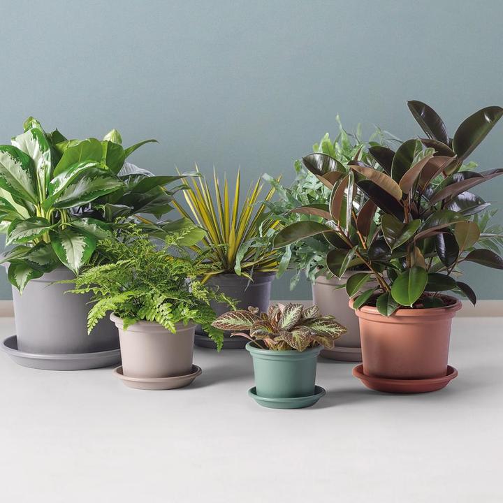 Actual product image Euro3plast Planter (20 cm)
