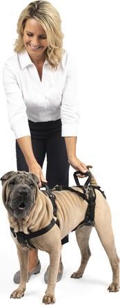 Productafbeelding PetSafe CareLift tilharnas (Hond, Algemeen)