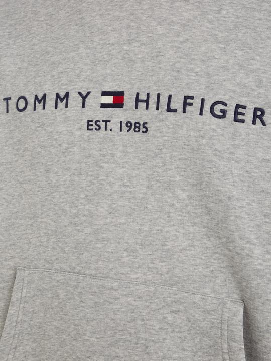 Image du produit Tommy Hilfiger Logo Flex Fleece (XS)