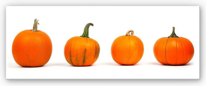 Immagine prodotto Trenddeko Varietà di zucca - Panorama (40 x 100 cm)