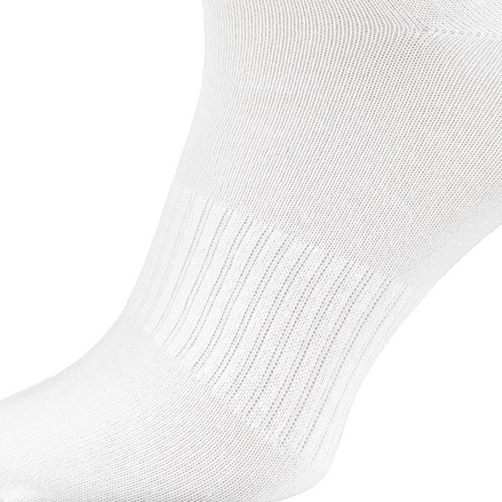 Immagine prodotto Black Snake 6 Pack (confezione da 6, 39, 42)