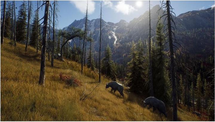 Actual product image THQ Way of the Hunter - Hunting Season One (Xbox Series X, EN)