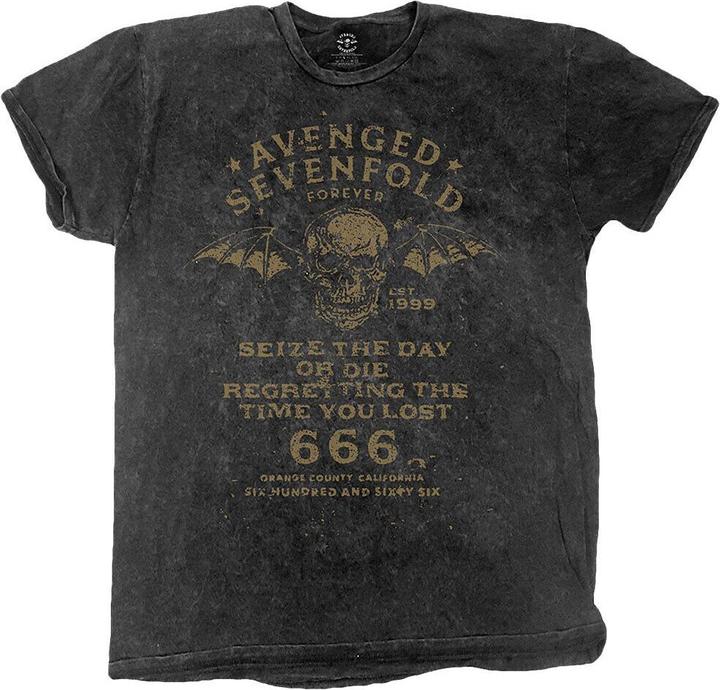 Actual product image Universal Textiles Unisex Adult Seize The Day T-Shirt (XL)