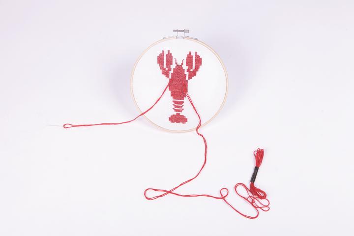 Image du produit Doiy Stitchit