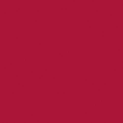 Immagine prodotto Naj Oleari Creamy Delight Lipstick 17 Rosso Lacca 4.2g (17)
