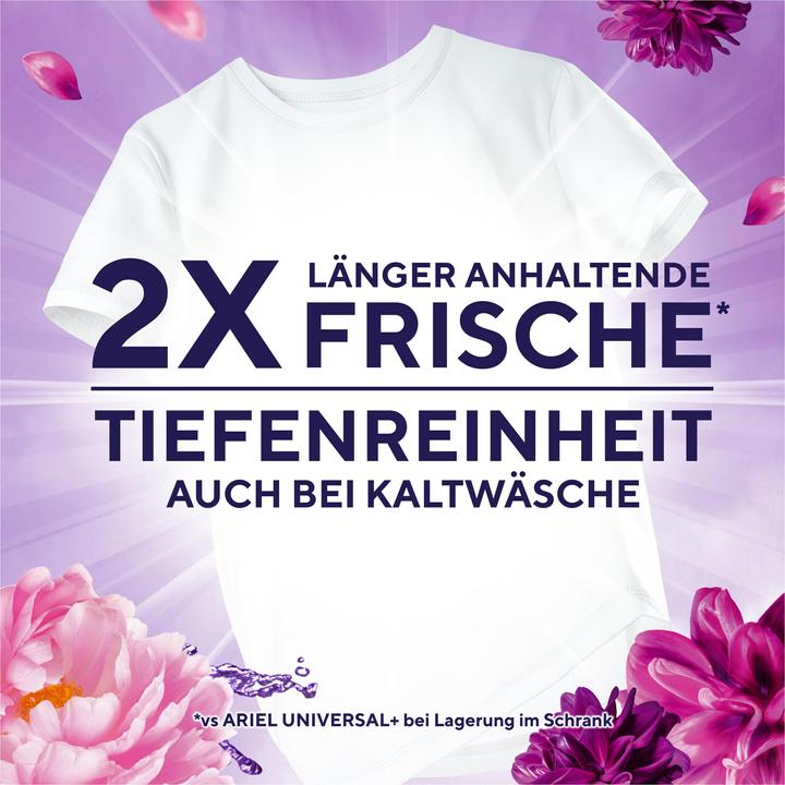Produktbild Lenor Amethyst Blütentraum (50 Waschgänge, Pulver)