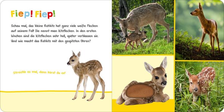 Actual product image Hör mal rein, wer kann das sein? - Tierbabys (German)