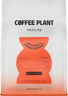 Image du produit Coffee Plant Filtre Gwatemala Huehuetenango