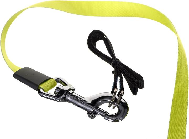 Actual product image Flexi Giant (L, Dog, Walks, General)