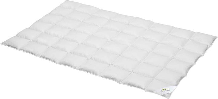 Produktbild BettwarenShop Comfort Medium (1100 g, 240 x 220 cm)