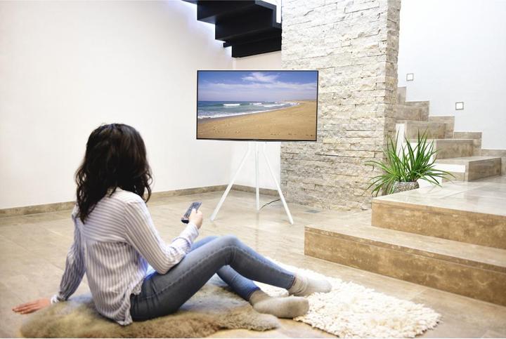 Produktbild Hama TV-Ständer, Staffelei freistehend, höhenverstellbar, 191 cm (75") bis 40 kg (75", 40 kg)