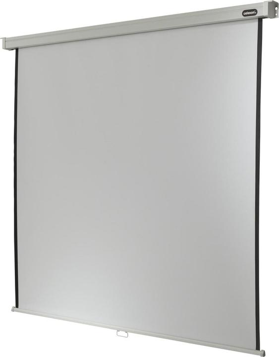 Produktbild Celexon Rollo Professional, Leinwand, 1:1 (150.39", 1:1)