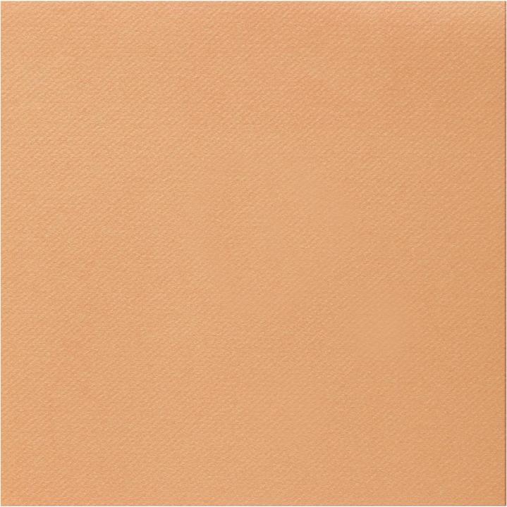 Immagine prodotto Santex Airlaid (25 x, 40 x 40 cm)
