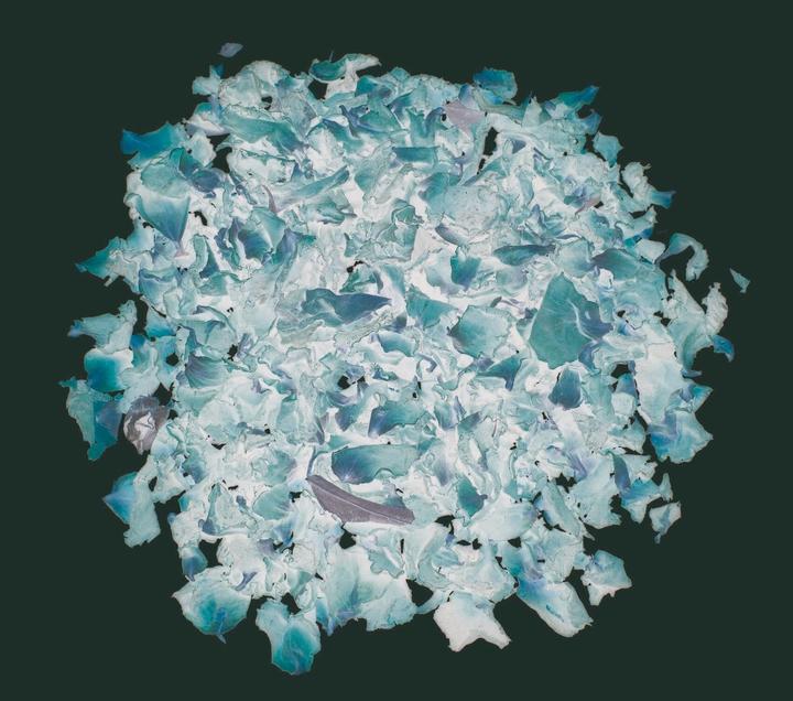 Produktbild Glorex Rosenblüten