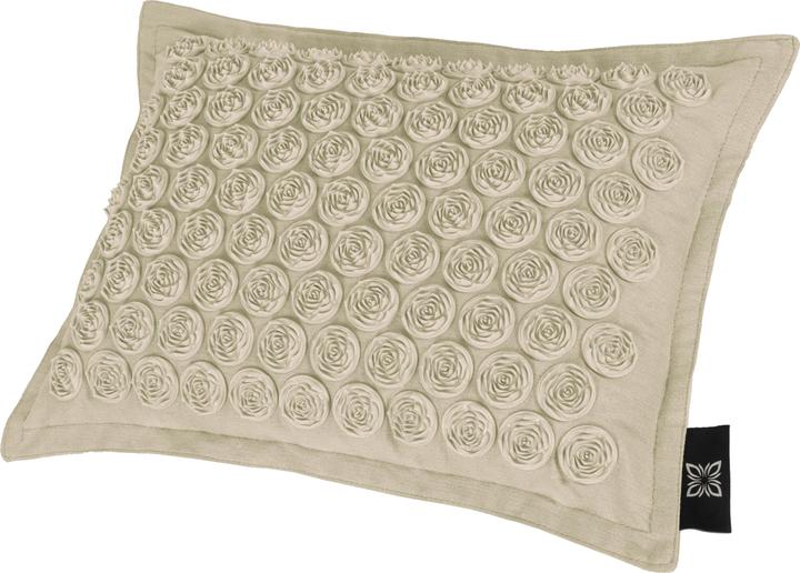 Actual product image Omnana CACTUSX accupressure mat