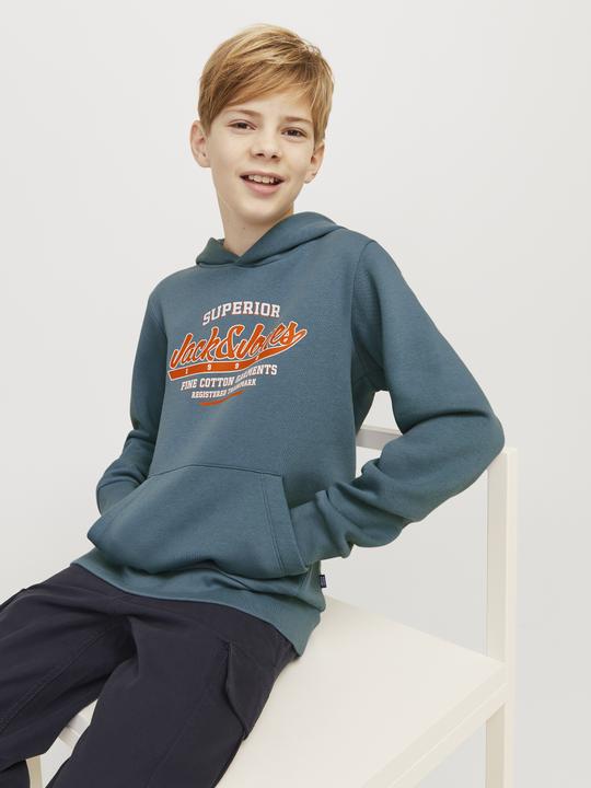 Produktbild Jack & Jones JJELOGO SWEAT HOOD 2 COL 24/25 NOOS JNR (128)