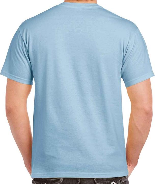 Actual product image Gildan Mens Heavy Cotton T-Shirt (S)