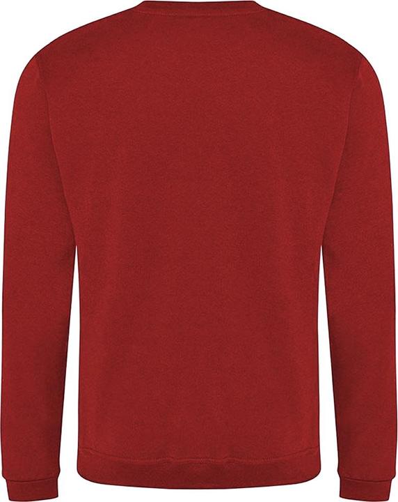 Actual product image Pro RTX Sweatshirt (S)