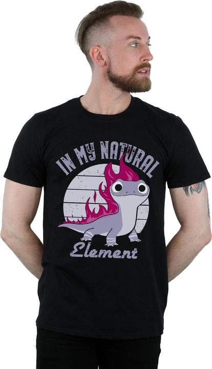 Immagine prodotto Disney Frozen 2 Salamander Bruni Element Maglietta Uomo (3XL)