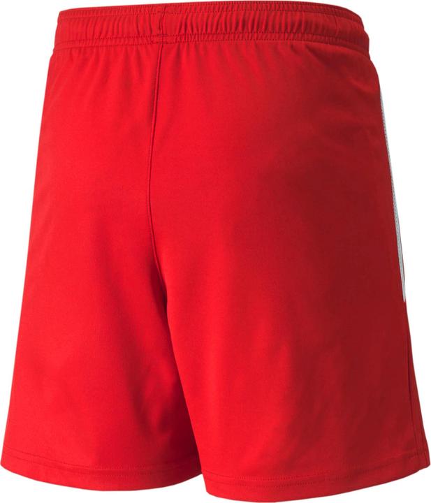 Image du produit Puma short teamLIGA Jr-704931 (128)