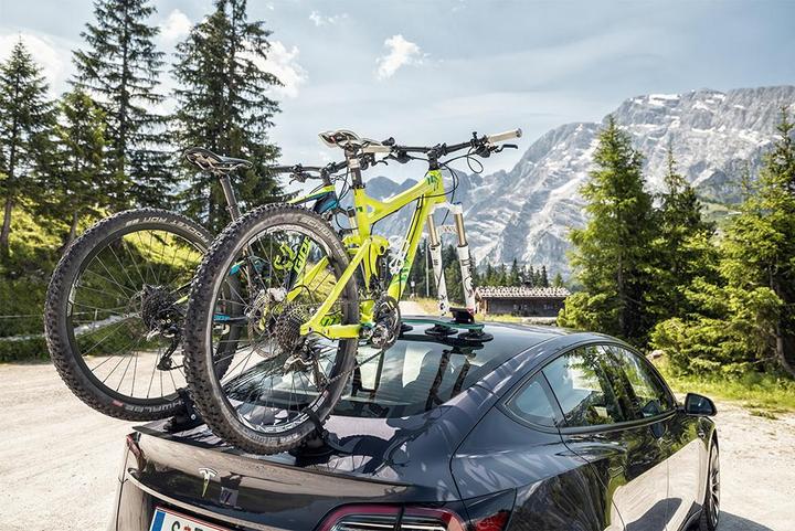 Immagine prodotto TreeFrog Portabici Pro 2