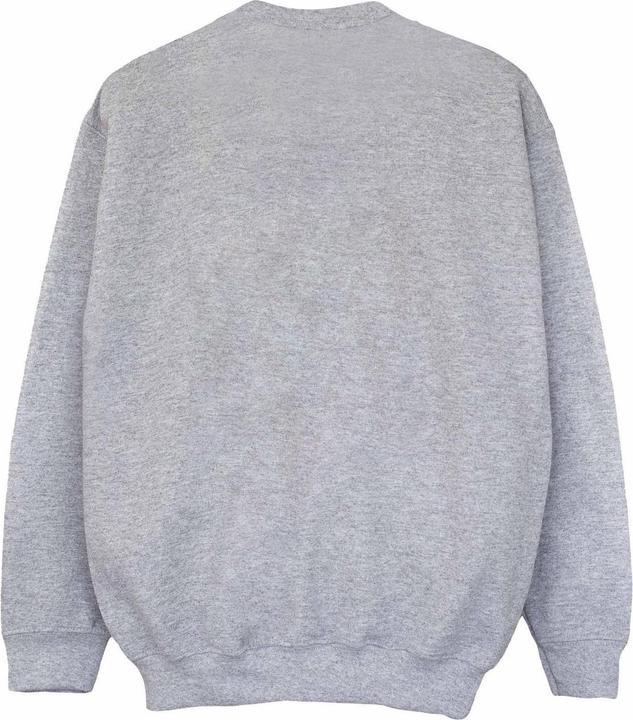 Actual product image Disney Boys Dumbo The One And Only Sweatshirt (152, 158)