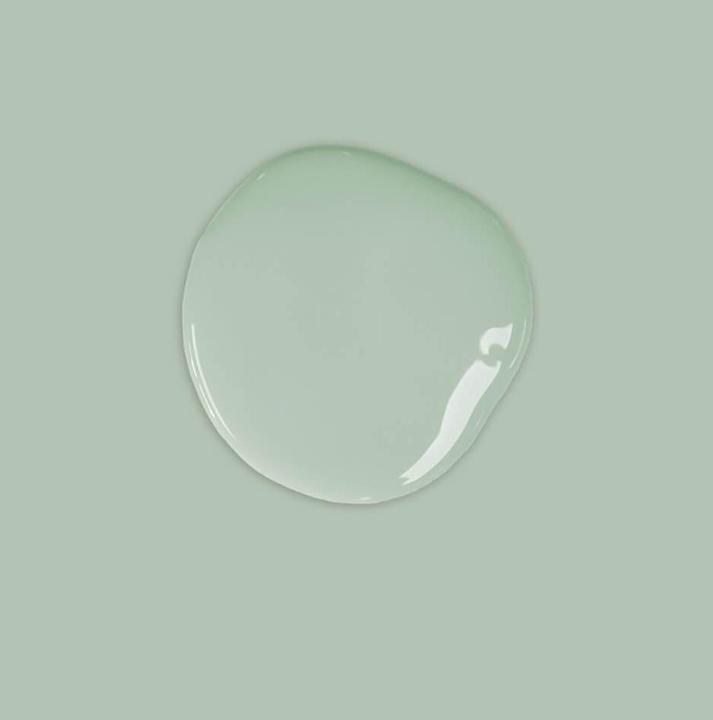 Immagine prodotto Annie Sloan Vernice a gesso Duck Egg Blue litro (Blu Uovo d'anatra, 1000 ml)