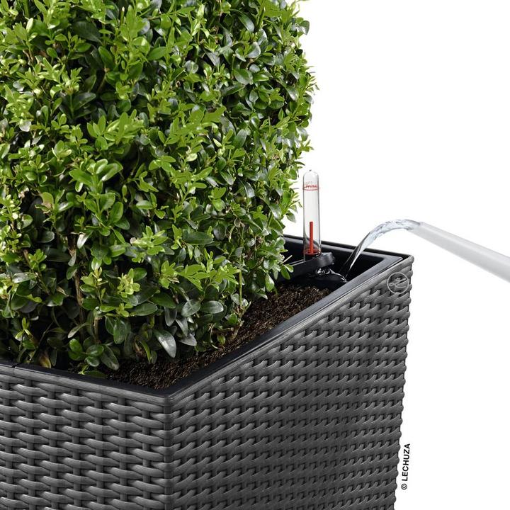 Image du produit Lechuza Cube Cottage (29.50 cm)