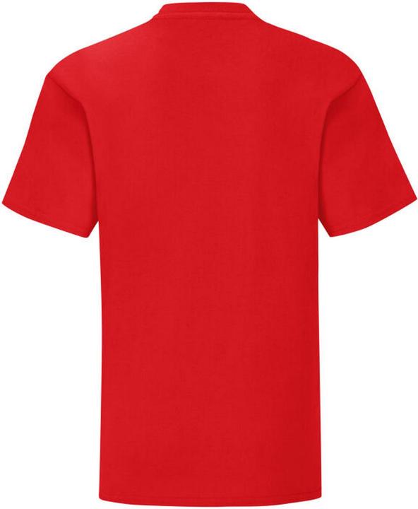 Actual product image Fruit of the Loom Childrens/Kids Iconic 150 T-Shirt (116)
