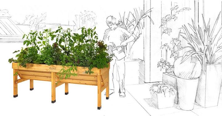 Actual product image VegTrug Plant box