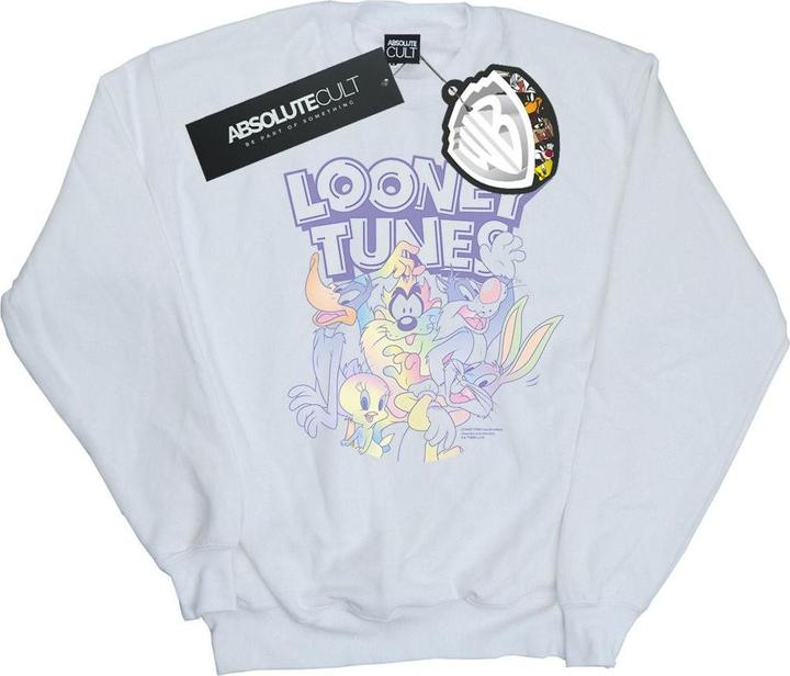 Looney Tunes Rainbow Friends Sweatshirt (XL)