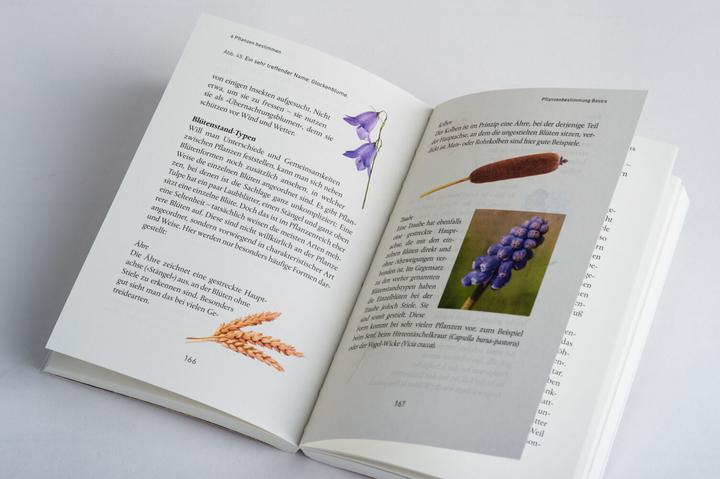 Actual product image Mein Wildkräuter-Guide (German, Manuel Larbig, 2021)