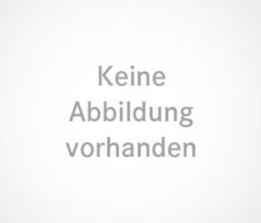 Produktbild Die Maias (Deutsch, Carlos Reis, José Maria Eça de Queirós, Marianne Gareis, 2024)