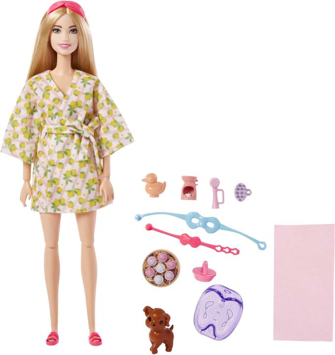 Actual product image Barbie Wellness - Spa Day
