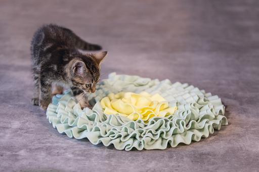Produktbild Beeztees Bz Kitten Schnšffelmatte Flowi