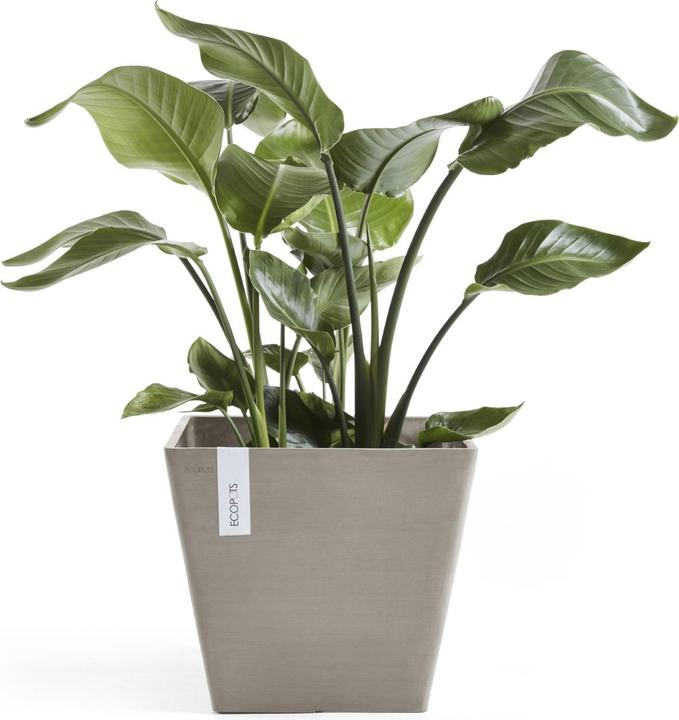 Produktbild Ecopots Rotterdam (40 cm)