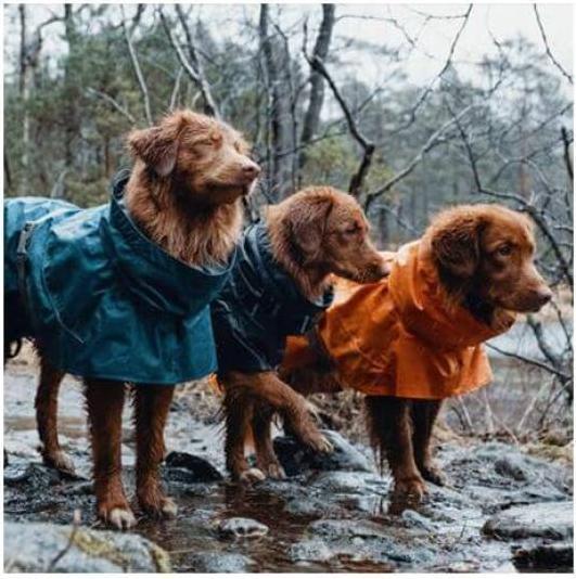 Actual product image Hurtta Monsoon raincoat dark grey (45, M, Dog raincoat)