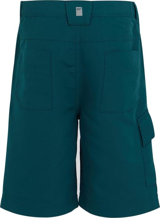 Image du produit Regatta - Short SORCER - Unisexe (170, 176)